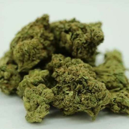 4eff82cb1a893033185188ed3243d878 Harlequin cannabis strain